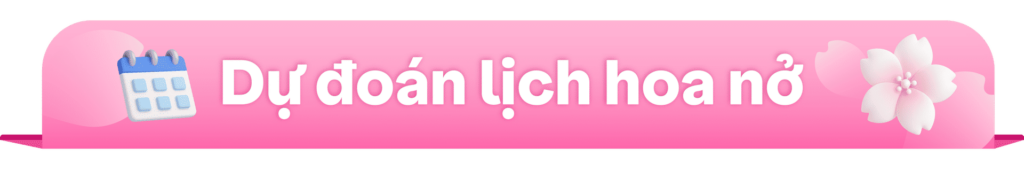 Dự đoán lịch hoa nở - sale sakura Traveloka