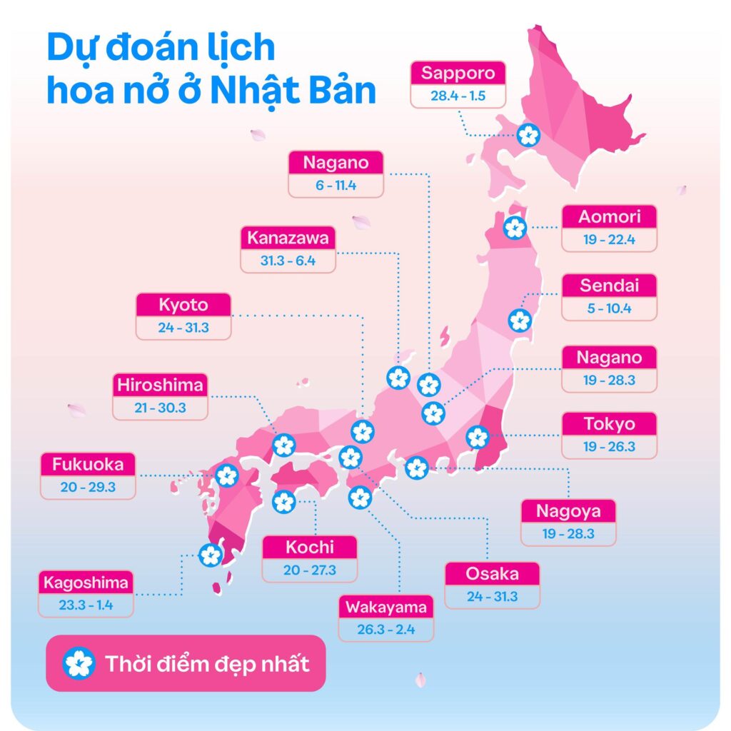 Dự đoán lịch nở hoa anh đào ở Nhật Bản