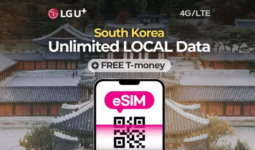 Cẩm nang Săn Hoa Anh Đào: Lịch Nở Hoa, Điểm Đến & Bí Kíp Săn Ưu Đãi Du Lịch🌸