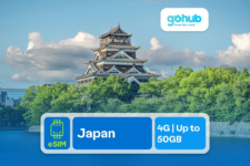 Cẩm nang Săn Hoa Anh Đào: Lịch Nở Hoa, Điểm Đến & Bí Kíp Săn Ưu Đãi Du Lịch🌸