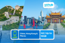 Cẩm nang Săn Hoa Anh Đào: Lịch Nở Hoa, Điểm Đến & Bí Kíp Săn Ưu Đãi Du Lịch🌸